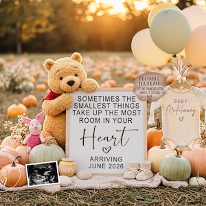 May include: A pregnancy announcement scene with pumpkins, balloons, and a Winnie the Pooh teddy bear. A sign reads "Sometimes the smallest things take up the most room in your heart, arriving June 2026." A baby onesie is also displayed.