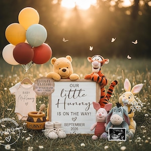 May include: A baby announcement featuring Winnie the Pooh characters. A sign reads "Our little Hunny is on the way! September 2026." Balloons, a onesie, baby shoes, and a honey pot are also included. The background is a grassy field.