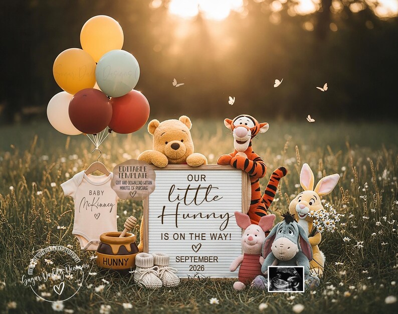 May include: A baby announcement featuring Winnie the Pooh characters. A sign reads "Our little Hunny is on the way! September 2026." Balloons, a onesie, baby shoes, and a honey pot are also included. The background is a grassy field.