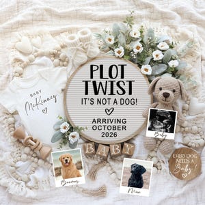 Op de afbeelding: Een baby-aankondiging met de tekst "PLOT TWIST IT'S NOT A DOG! ARRIVING OCTOBER 2026." De aankondiging bevat een baby-romper, een echofoto en foto's van twee honden. Een gehaakte hond en houten blokken spellen "BABY."
