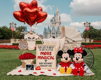 disney world disney themed cloth diapers