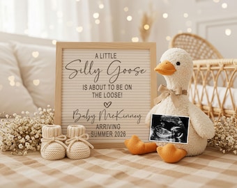 Revelación del bebé Silly Goose anda suelto: anuncio digital de embarazo