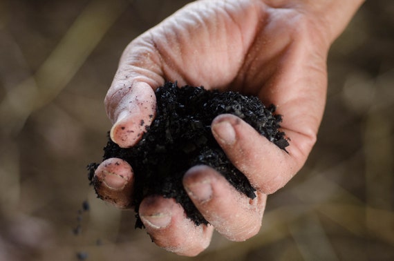 For Fruits BioChar 10lb Organic Soil Amendment and Fertilizer Vegetables /& Herbs and All Gardens!