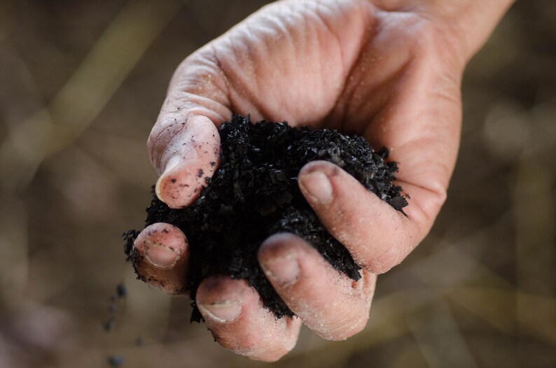 For Fruits BioChar 10lb Organic Soil Amendment and Fertilizer Vegetables /& Herbs and All Gardens!