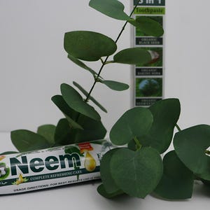 All Natural Toothpaste( Sea Moss & Neem)