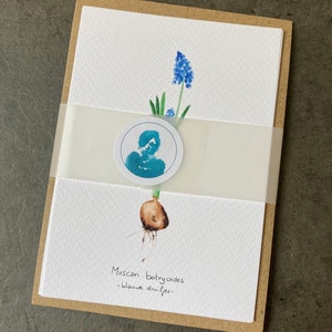 Postkaarten Lente - Set van 3 kaarten - Bloemen
