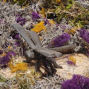 Cast Iron Brown dragonfly Insect Home Garden Yard Lawn Outdoor Plant Patio Decor