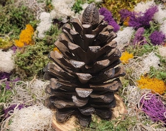 May include: A dark brown pine cone on a wooden slice surrounded by a variety of dried moss and flowers.