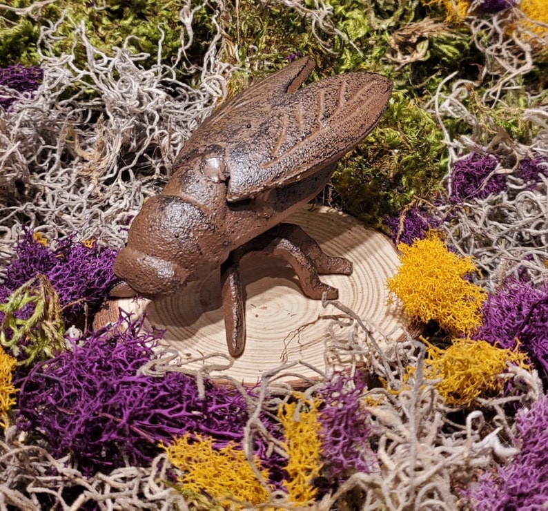 Iron Insect Brown Cast Iron Cicada Insect Home Garden Yard Lawn Outdoors Patio Art ...