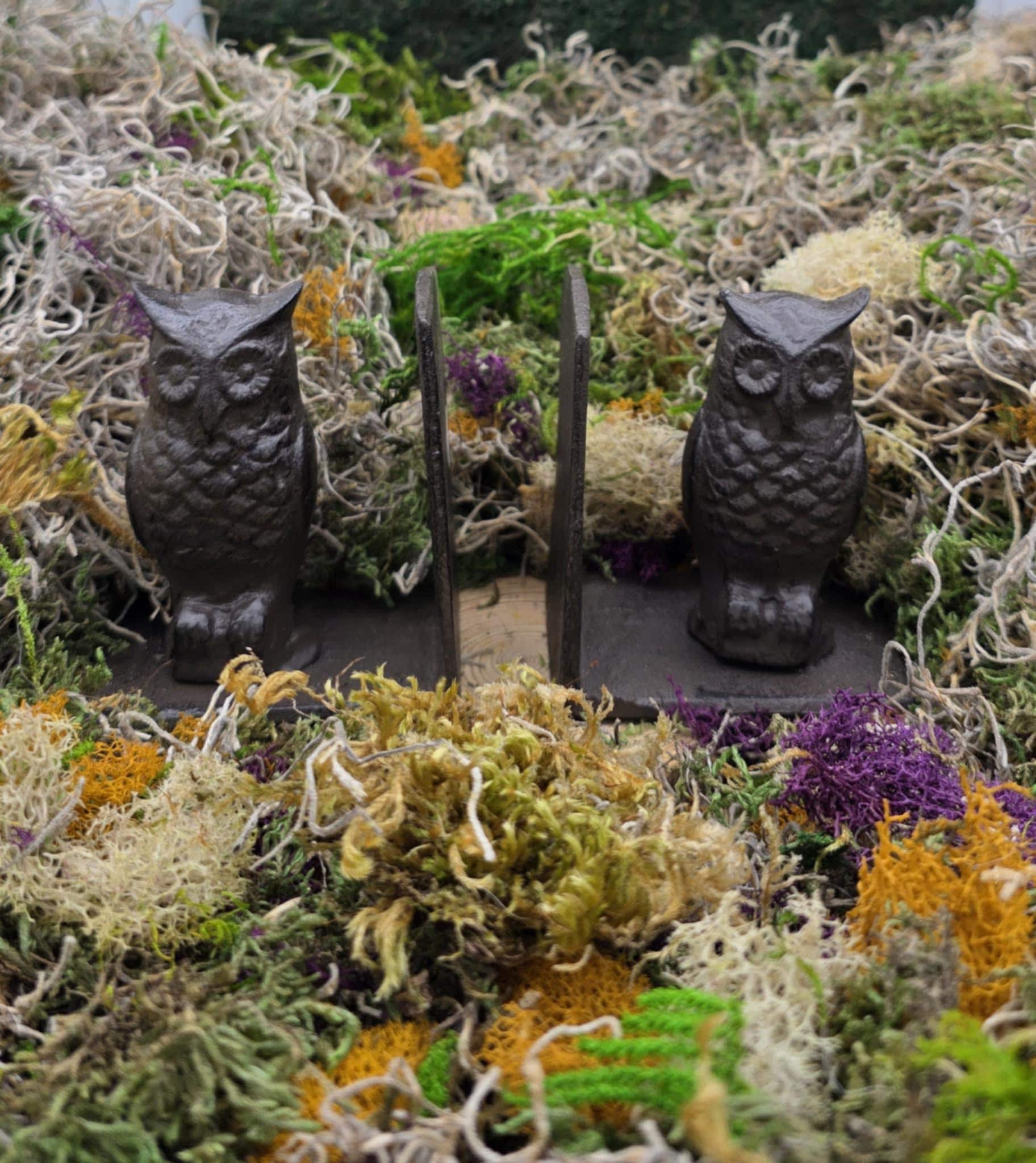 Cast Iron standing owl book ends-books-book-Elegant decor-Vintage Style-library