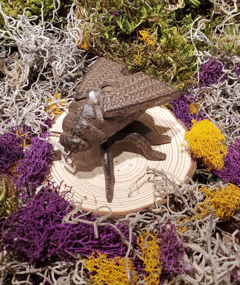 Cast Iron Moth Grub Insect Home Garden Yard Lawn Outdoors Plant Patio ...