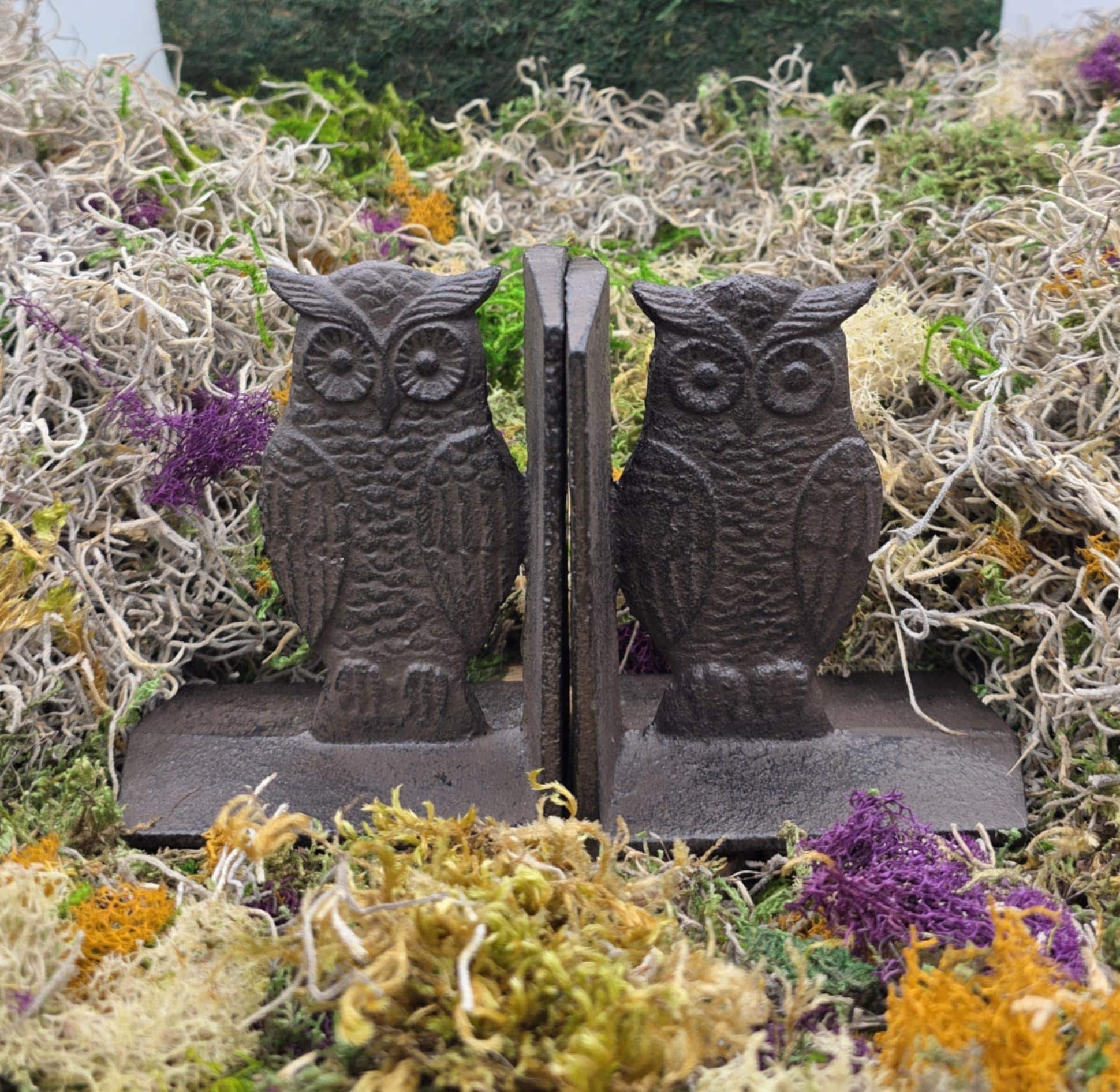 Cast Iron standing owl book ends-books-book-Elegant decor-Vintage Style-library
