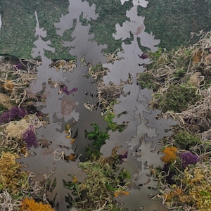 May include: Metal tree silhouettes in a forest scene. The trees are cut from a silver-colored metal and are set against a backdrop of various mosses in shades of green, yellow, and purple.