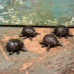 May include: Four black cast iron ladybug figurines on a rustic wooden surface. The ladybugs have a detailed design and are perfect for adding a touch of whimsy to any home decor.