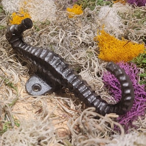 May include: A black cast iron seahorse hook with a textured surface. The hook is designed to resemble a seahorse with a curled tail and a raised head. The hook is mounted on a flat base with a hole for hanging.