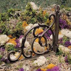 May include: A black metal shelf bracket with a decorative scroll design. The bracket is set against a background of dried moss in various shades of green, white, and purple.