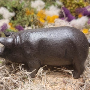 Spotted Baby Pig Sitting Piglet Yard Ornament Resin Figurine