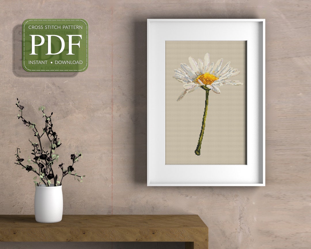 OXEYE DAISY Cross Stitch Pattern Pdf, Instant Download, Realistic