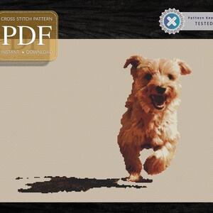May include: A cross stitch pattern PDF for a brown and white dog running with its tongue out. The dog is running on a beige background.
