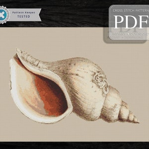 CONCH, Conch, Shell, Counted Chart, Pdf Download Charts, Cross Stitch Designs With Graphs Pdf, Modern Cross Stitch Chart