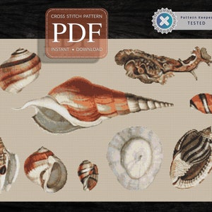 Op de afbeelding: Cross stitch patroon PDF-download voor een set schelpen. Het patroon bevat een verscheidenheid aan schelpen in verschillende vormen en maten, waaronder een grote schelp, een kleinere schelp met een gestreept patroon en een ronde schelp met een wit en blauw patroon.