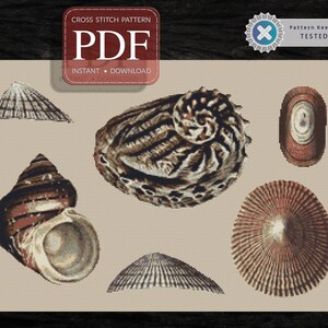 May include: Cross stitch pattern PDF for six different seashells. The shells are in various shades of brown, white, and gray. The pattern is available for instant download.