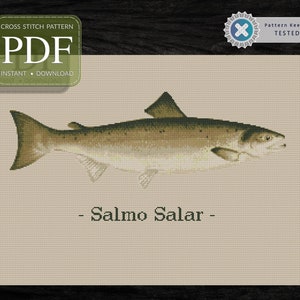ATLANTIC SALMON, Salmon, Fish, Food Fish, Pdf Download Charts, Cross Stitch Patterns, Cross Stitch Pattern, Modern Cross Stitch Chart