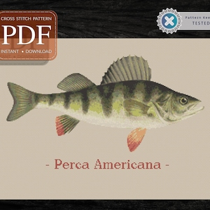 以下が含まれることがあります： 緑、茶色、オレンジのパーチの魚を刺繍したクロスステッチパターンのPDFダウンロード。下に「Perca Americana」の文字があります。