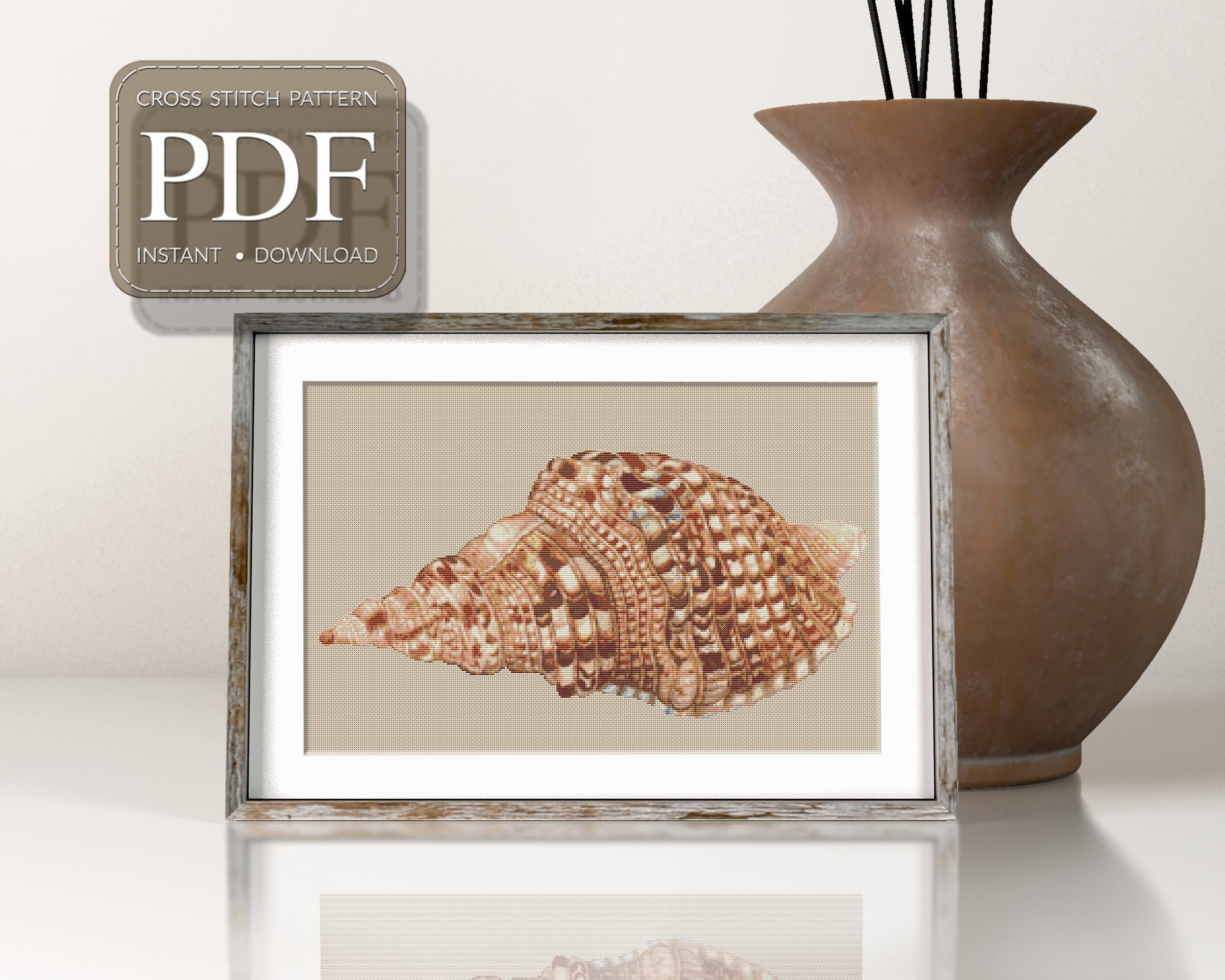 SNAIL SHELL, Shell, Shells, Snail Shell, Cross Stitch Designs With ...