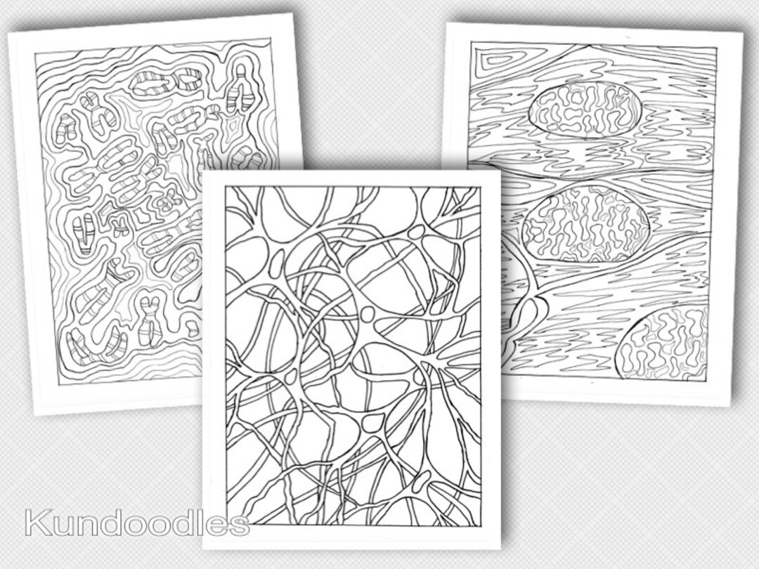 Printable Science Adult Coloring Pages. Digital Download - Etsy