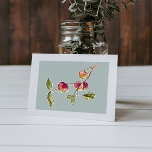Cartões de felicitações em branco com frutas botânicas
