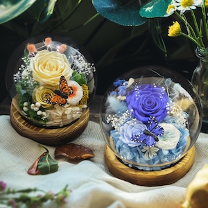 Rosa borboleta exclusiva em cúpula de vidro redonda, presente de flor preservada artesanal, presente de inauguração de casa, aniversário, dia dos namorados