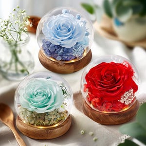 Handmade Dried Preserved Rose in Glass Ball, Romantic Eternal Flower Bouquet Birthday Valentine Day Anniversary Gift