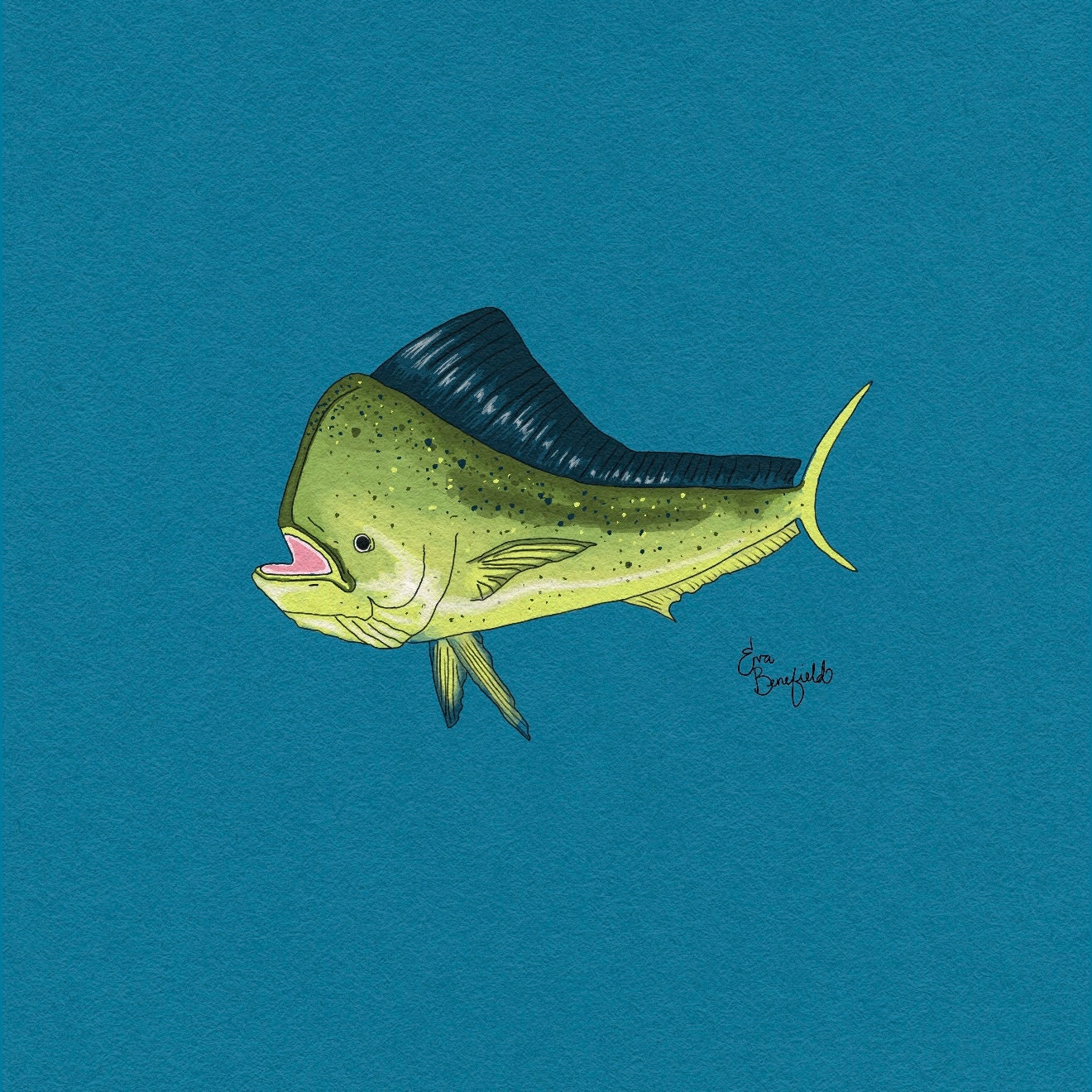 Mahi Wallpaper - Etsy