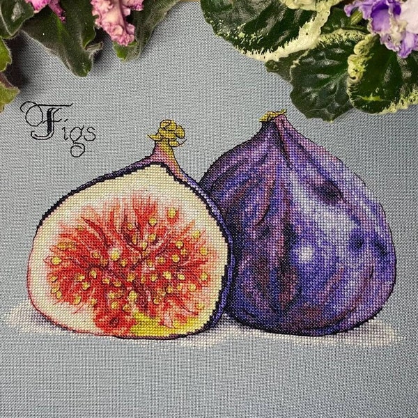 Figs realistic cross stitch pattern. Kitchen cross stitch Digital Pattern . Figs Fruit Hand Embroidery Needlepoint chart.