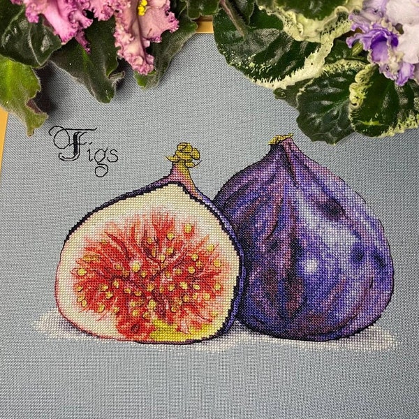 Figs Fruit cross stitch pattern. Kitchen cross stitch Digital Pattern . Exotic Fruit Tapestry Hand Embroidery Needlepoint chart.