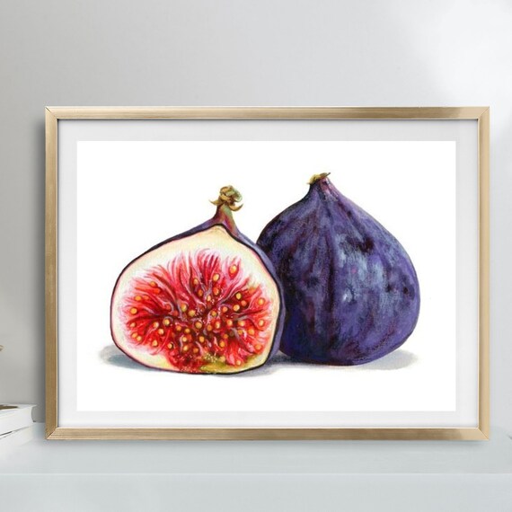 イチジクのクロスステッチパターン：リアルなフルーツ刺繍デザイン