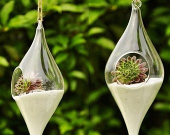 Lot de 2 jardinières suspendues en forme d'olivier pour terrariums en verre - Plantes aériennes rondes (2 PCS / 9 x 3,14 pouces)