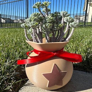 May include: A beige ceramic planter with a star design and a red ribbon, filled with green succulent plants. The planter is sitting on a concrete surface, with a green lawn and a black fence in the background.