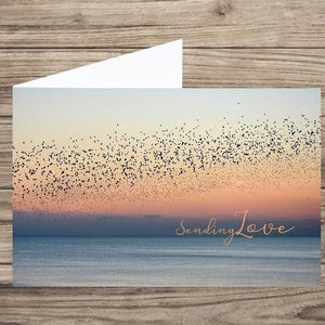 Sending love - Starling - thinking of you card - get well soon - sympathy card UK - sympathy bird - miss you card - bird card