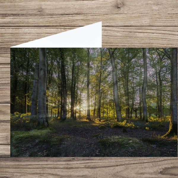 Forest sunrise card  - blank greeting card - forest photo card  - new forest card - any occasion card - woodland card - sympathy card UK