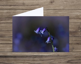Bluebell card - blank greeting card - floral photography card  -sympathy card - any occasion card - floral birthday card