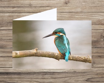 Kingfisher - bird greeting card - bird card UK - British bird - nature card UK - bird photo card - birthday bird - Bird lover