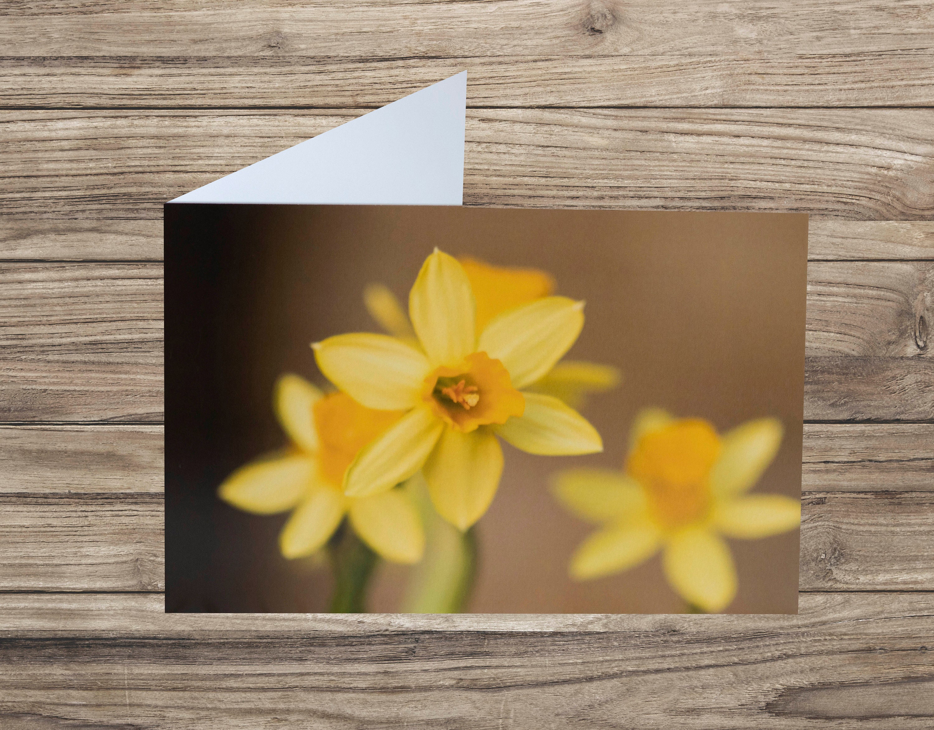Daffodil Greeting Card Flower Greeting Card Spring Flowers Etsy