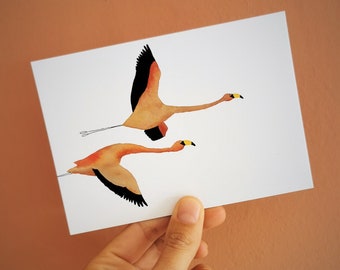 Ticket flying flamingos