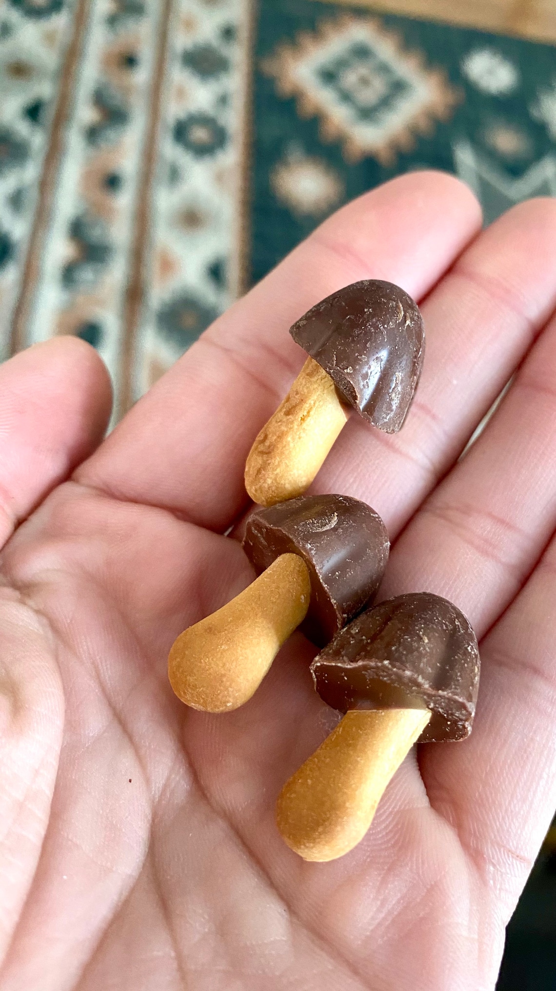 Mushroom chocolate candy Etsy