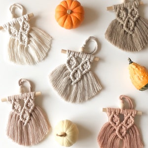 Op de afbeelding: Vijf handgemaakte macramé-versieringen met franjes, in beige, bruin en wit, met drie kleine pompoenen in oranje, wit en groen.