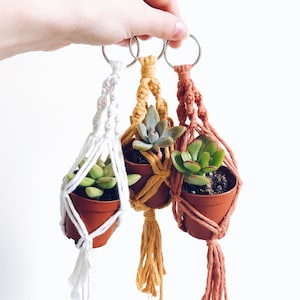 Mini Macrame Plant Hanger