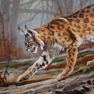 May include: A painting of a bobcat walking on a fallen log in a woodland. The bobcat is brown and black with spots and has large ears. The woodland is a muted green and brown with a hazy background.