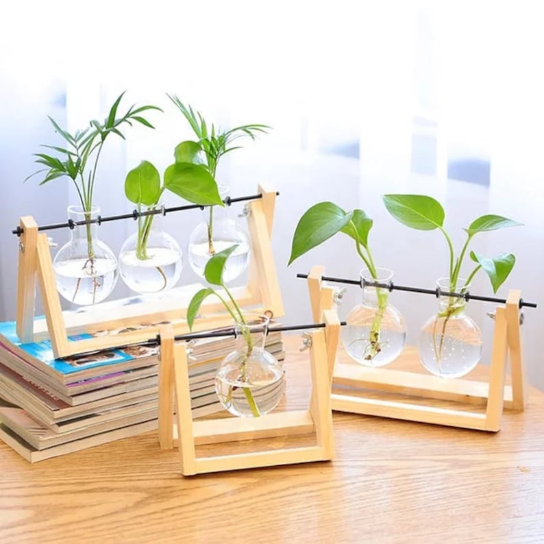 Propagation station propagation vase Plant vase glass Etsy